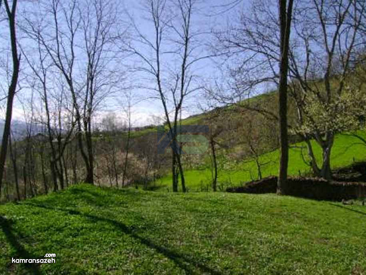 روستای نوده کجاست؟ | جاذبه ها، بهترین زمان سفر و دیدنی ها