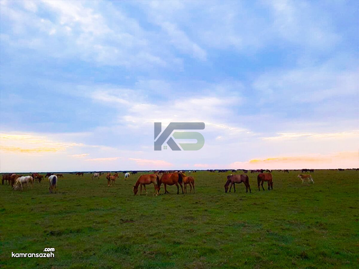 پارک ملی بوجاق | بهشت پرندگان و تلاقی رود و دریا در گیلان
